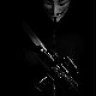 VamIIc