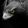 Night_Hawk